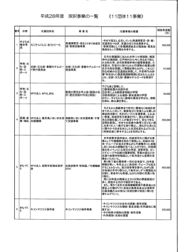 採択事業の一覧（PDF：295KB）
