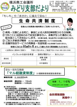 ｽﾗｲﾄﾞ ﾀｲﾄﾙなし