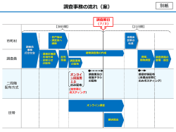 調査事務の流れ（案）（PDF：381KB）