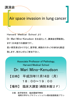 Dr. Mari Mino-Kenudson Air space invasion in