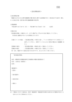 別紙 ＜意見募集要項