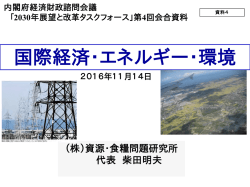 資料4 柴田委員提出資料 (PDF形式：1942KB)