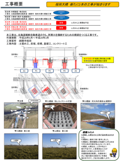 北海道横断自動車道 釧路市 桜田大橋P1･P2橋脚工事