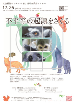 不平等の起源をさぐる - 東北大学 学際科学フロンティア研究所