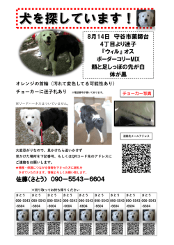 佐藤（さとう） 090－5543－6604 8月14日 守谷市薬師台 4丁目より