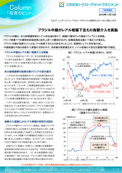 ブラジル中銀がレアル相場下支えの為替介入を実施