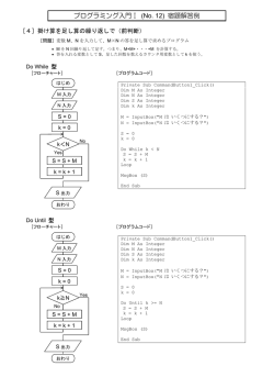 フローチャートとプログラム pdf