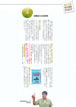 収穫後の水田管理
