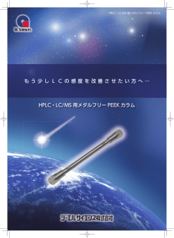 HPLC・LC/MS 用メタルフリー PEEK カラム も う 少
