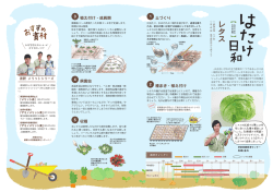 レタス - JAおおいがわ