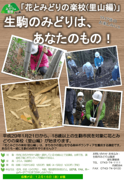 別ウィンドウで開く