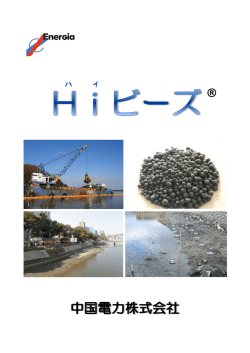 Hiビーズ パンフレット [PDF:1605KB]