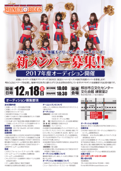 Honey Bees 2017メンバー募集A4_表