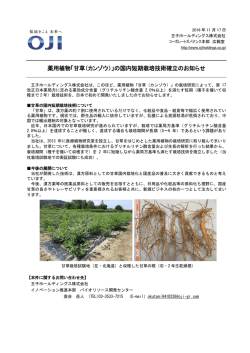 薬用植物「甘草（カンゾウ）」の国内短期栽培技術確立のお知らせ