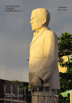 NICARAGUA VEREIN HAMBURG E.V.