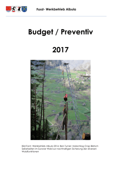 Budget 2017 - Schmitten Albula