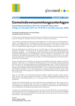 Bulletin der Gemeindeversammlung vom 25. November 2016 [PDF