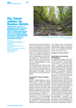 Die Tobelw&auml;lder im Kanton Z&uuml;rich