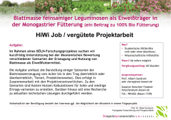 HiWi Job / verg&uuml;tete Projektarbeit