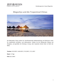 PDF Reise-Details als Druckversion herunterladen