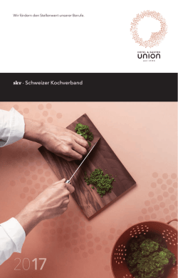 Imagebrosch&uuml;re skv Wir f&ouml;rdern den Stellenwert unserer Berufe