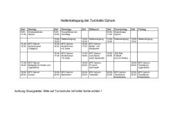 Hallenbelegplan