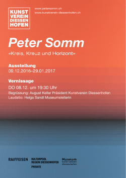 Flyer Ausstellung Peter Somm