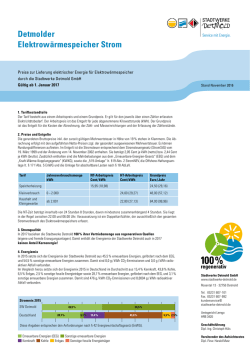 Detmolder Elektrowärmespeicher Strom