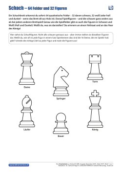 Schach – 64 Felder und 32 Figuren