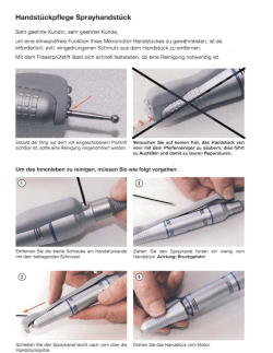 Handst&uuml;ckpflege Sprayhandst&uuml;ck