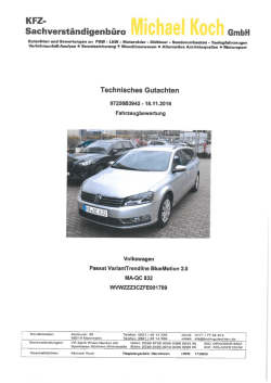 Gutachten - Zoll