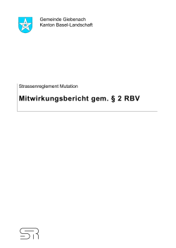 Mitwirkungsbericht gem. § 2 RBV
