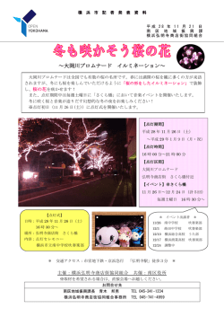 記者発表資料（296KB）