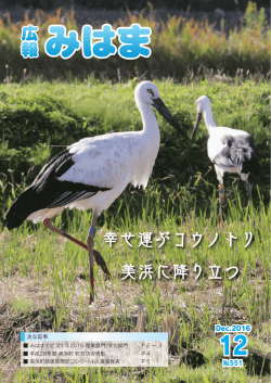 表紙 (PDF形式：994KB)