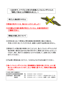 出水市で、ナベヅル（2羽）がA型鳥インフルエンザウイルス