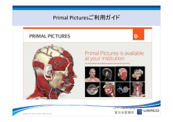 Primal Picturesご利用ガイド