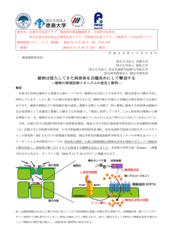 プレスリリース（PDF） - 奈良先端科学技術大学院大学