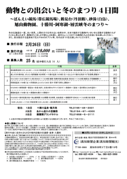 動物との出会いと冬のまつり4日間