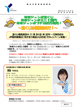記者発表資料（PDF形式 688KB）