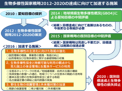 加速する施策_経過 [PDF 24 KB]