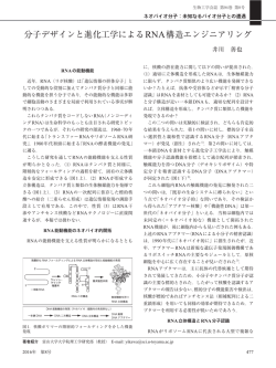 分子デザインと進化工学によるRNA構造エンジニアリング
