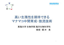 高い生残性を期待できる マナマコ中間育成・放流技術