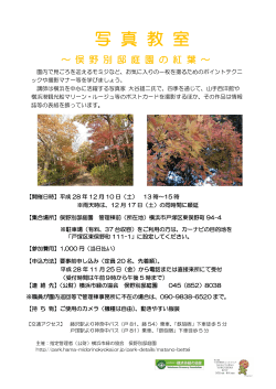 写 真 教 室 - 公益財団法人 横浜市緑の協会