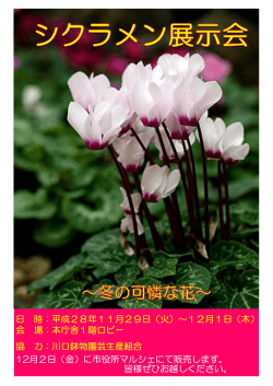 協 力：川口鉢物園芸生産組合 日 時：平成28年11月29日（火）～12月1