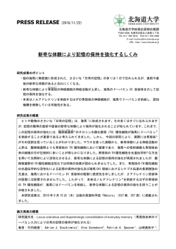 新奇な体験により記憶の保持を強化するしくみ