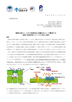 植物は侵入してきた病原体を兵糧攻めにして撃退する