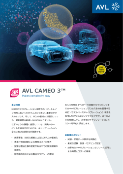 AVL CAMEO 3 - エイヴィエルジャパン
