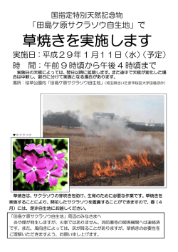 草焼きチラシ（PDF形式：265KB）