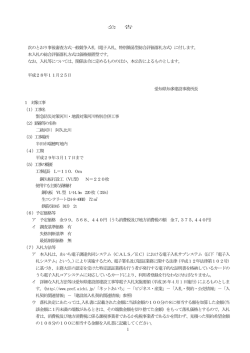 （電子入札、特別簡易型総合評価落札方式）に付