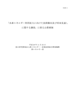 資料1 公募要領 - 新エネルギー・産業技術総合開発機構